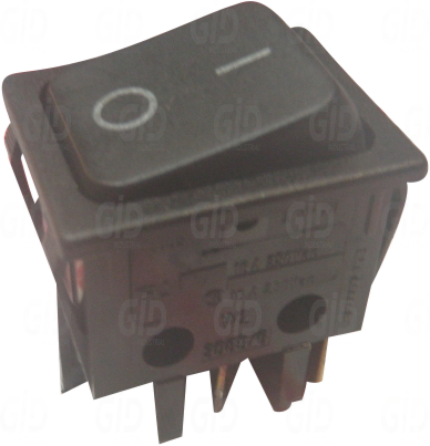 3080/6 - DREEFS DNA GROUP