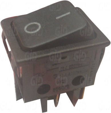 W2-3080/6 - DREEFS DNA GROUP